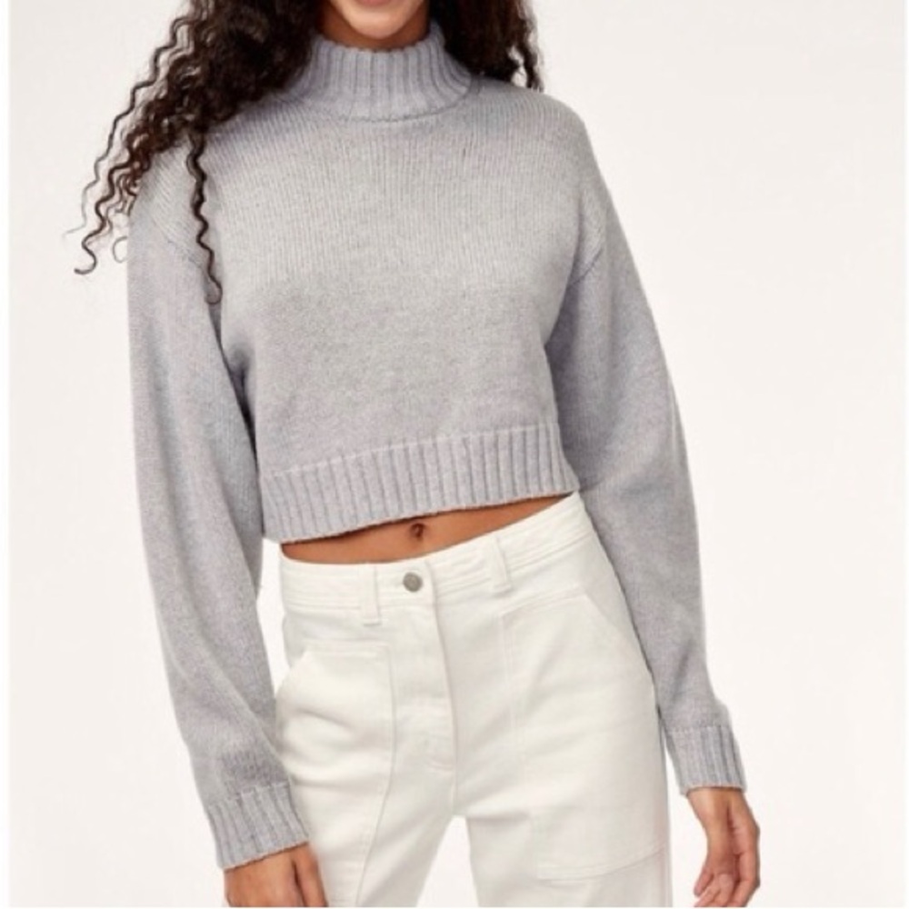 Aritzia Heinen Sweater